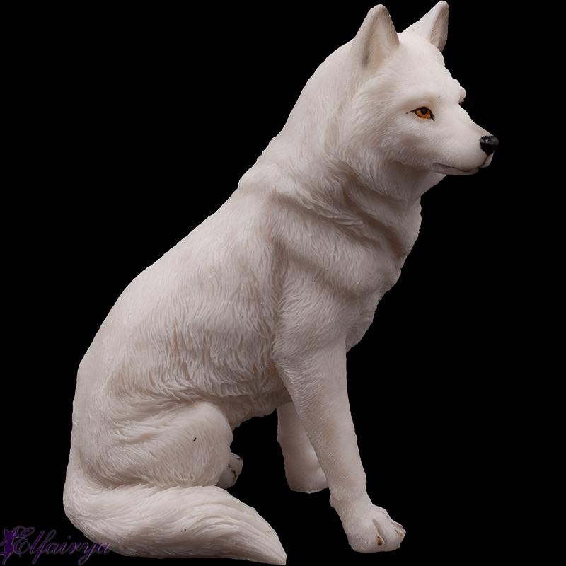 Junger sitzender Polarwolf Junger sitzender Polarwolf